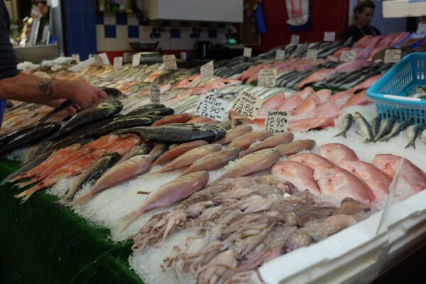 Discover Fresh Flavors at Seafood City