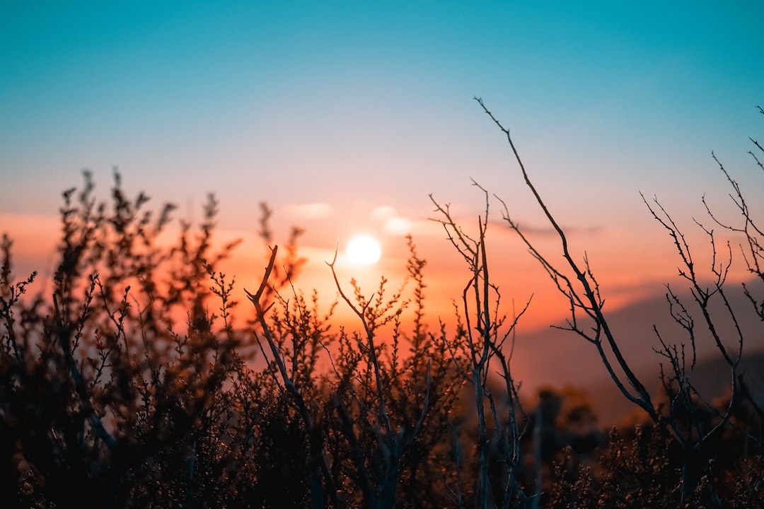 Thursday’s Blessings: A Reminder to Count Our Daily Gifts