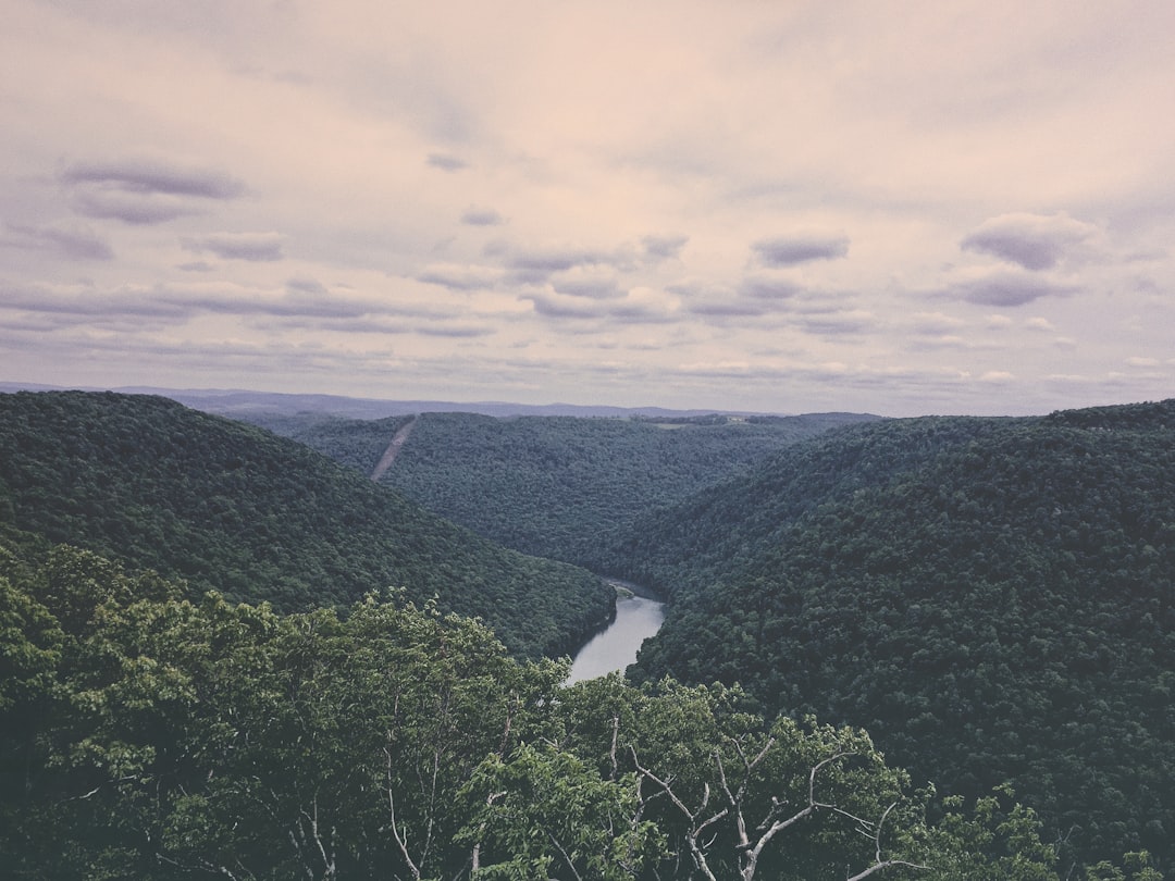 Exploring the Beauty of Stream East XYZ: A Natural Wonder