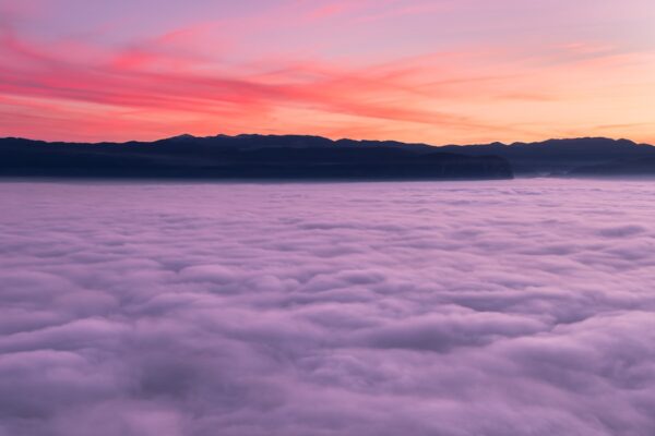 Blessed Tuesday: Gratitude for Another Day