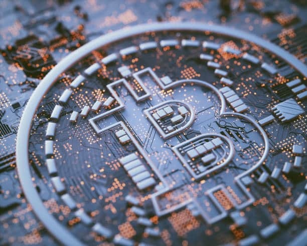 The Role of Hedge Funds in BTC Price Trends